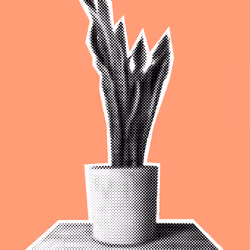 25379124807980713745219244606437574046087384809022650852355167097227260723201