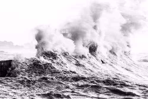 Item #9465970919991825070381387110769562952088497977437425311300914649319677624321 Media