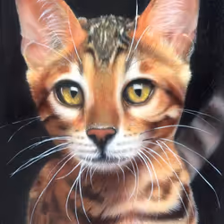 34612160955596785512859538374871632047950347863810554815967820138241845100545