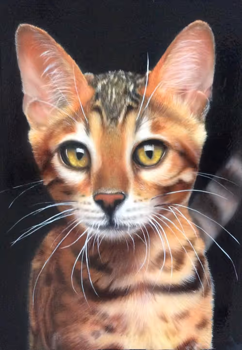 Item #34612160955596785512859538374871632047950347863810554815967820138241845100545 Media