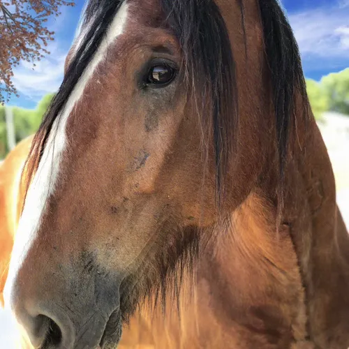 88343092479397822296084357814756675938580108254574453565251426648122418266117