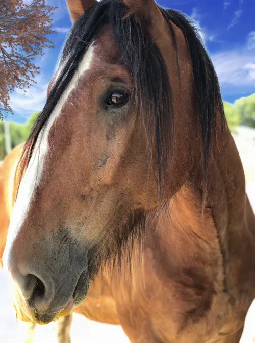 Item #88343092479397822296084357814756675938580108254574453565251426648122418266117 Media