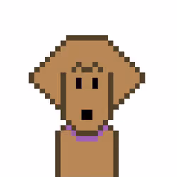 Original Goldendood