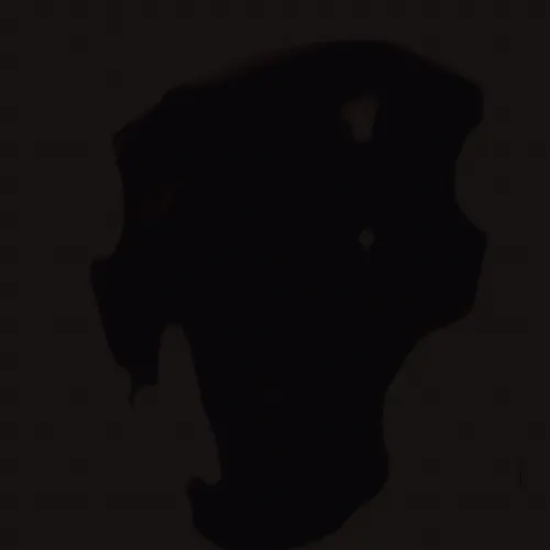 The Nodes