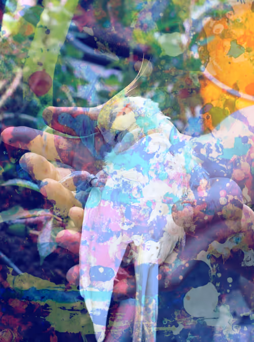 Item #105322358618701185533743754469895824107639028648078310589264470469689038864385 Media