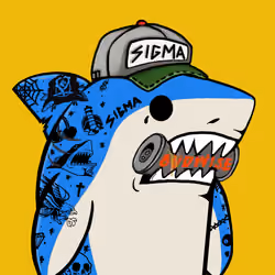 Sigma Shark #1