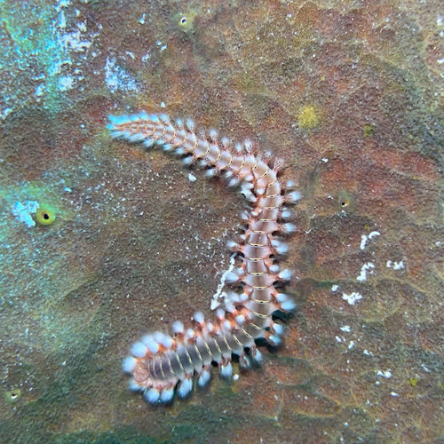 80965803268169370603932631570667161375508893671094224909166964044649063251969