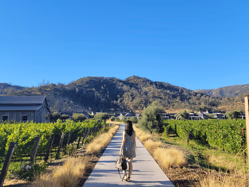 Item #35381761964736463261170241541996969010662262881350469342114363548334200717313 Media