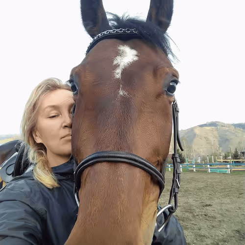 alexalvit Collection