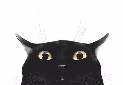 Item #82695799108276642583323751934613913274690371258081772662869305548687898836997 Media