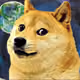 105455943688490387183344254803301267440398936054211954834735063931088306962433