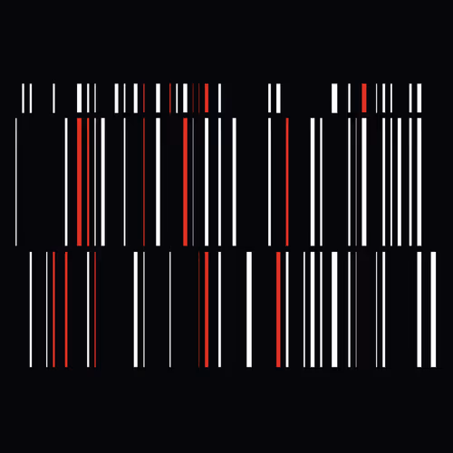 109334026439111402368738122638371148948649000304651538036628399730148413276161
