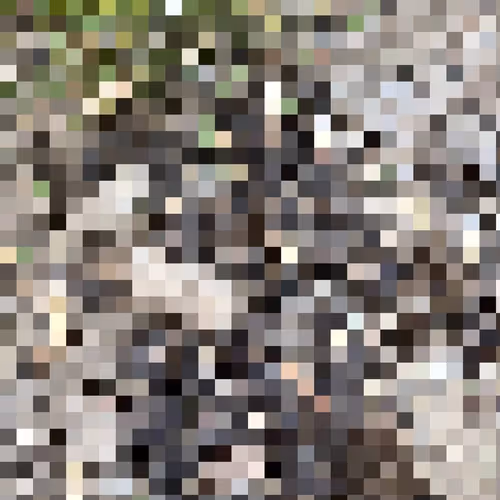 2850415134272365380187775685678842410458265265709128331682257593137188831233