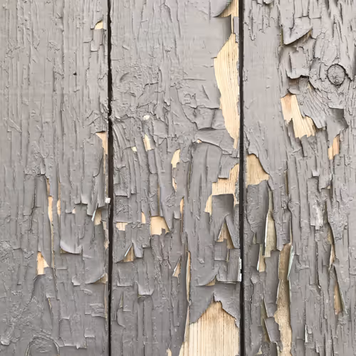 Item #46958899024090373232398737463413705293185688555081041498722300361605294063617 Media