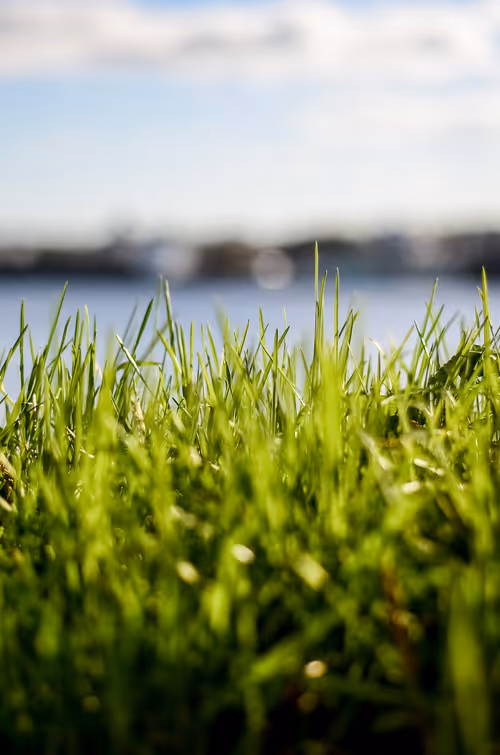 Item #89749655781633695214918973850275472722969414754438239918620403771041732624385 Media