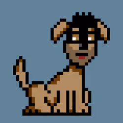 PunkDog #362