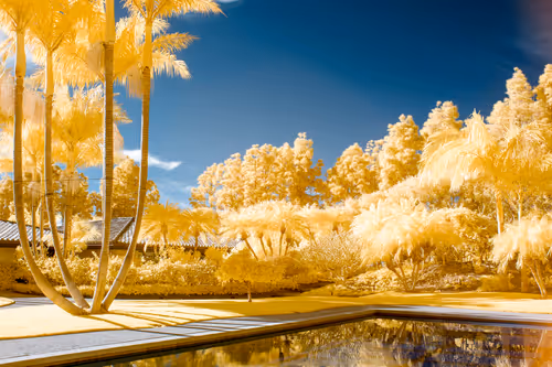 Item #19370616966559748584435896432036154917692480584478998448395270146202856849409 Media