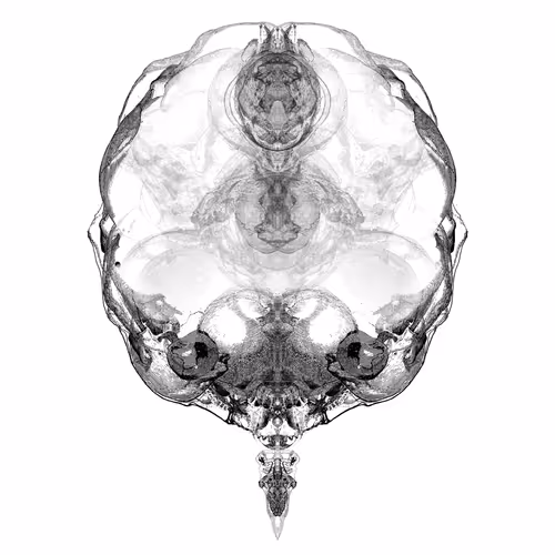 Item #85859191866638808365331437874953228966785819470149775310971063071300854480897 Media