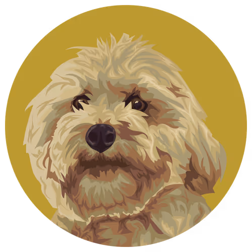 54766349128176429303044182404049584425310907481653304317570413996903030063105