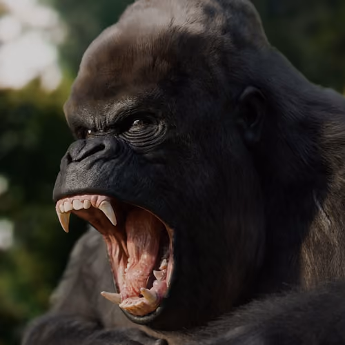 Angry Ape 4