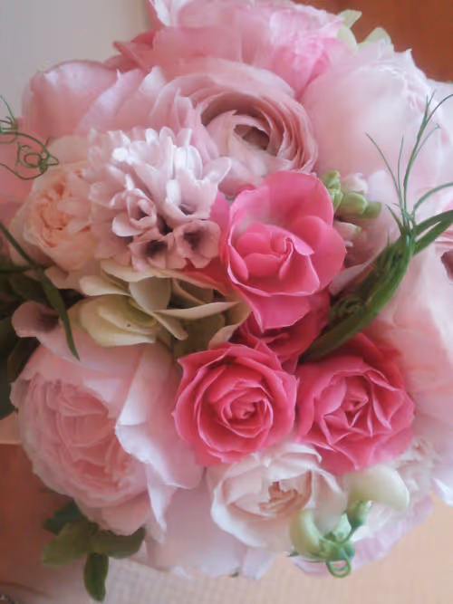 Item #62663240294021786701022348350090356522773778598858273444629078805261880131585 Media