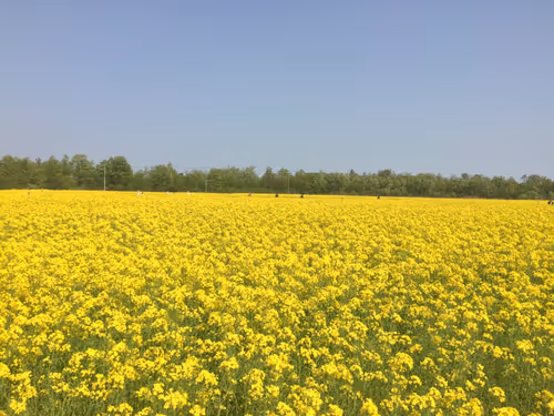 Item #2798886557042806862996260737379437753708202189265976662753732490573606027265 Media