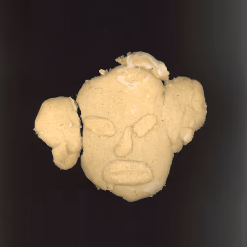 THE CHRISTMAS COOKIE 2021