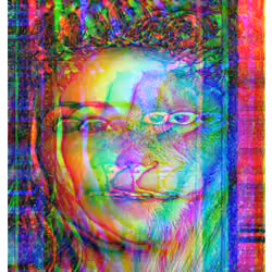 Lion Faced #4