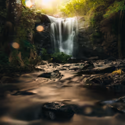 nature never goes out of style #7