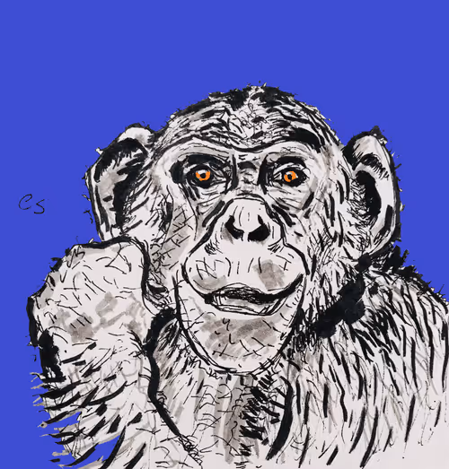 Item #39091703505809475788956350880894769302011138939225893693019847033279465127937 Media