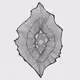 51682910850634003771139625906079487552221300106590389684702863463735573348353