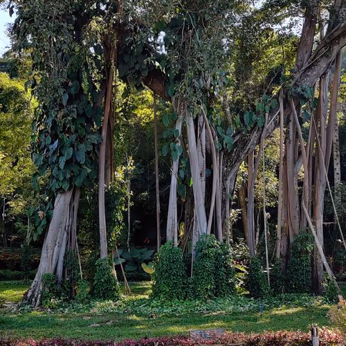 Untitled Collection #2981066