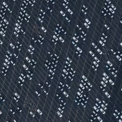 THE HIVE