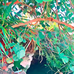 Nature is Therapy #6