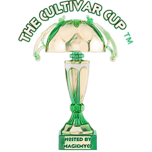MycoGreen Cup