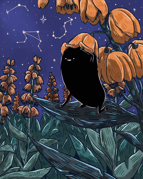 Item #29972214146443989496988524382456534441577792513554853272215010576615134461953 Media