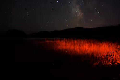 Item #12490425275875880839465075305844462947197774904789081002901208248615348207626 Media