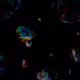 84019145327675323285540657490410894772315298267930376483089671210392631640067