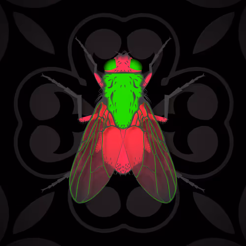 To Be A Fly On The Wall #61