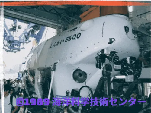 Item #57564924233980047606355697429991387706353180624782023811246230227885322403841 Media