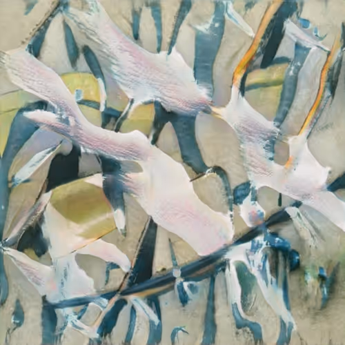 83390268768486051812957265690435187419519448234542069378654283892053598273537