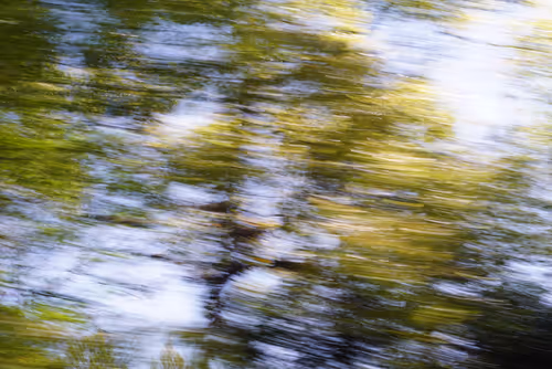 Item #70208692216166007409551313352686246739486859339551746312653787873093345083393 Media