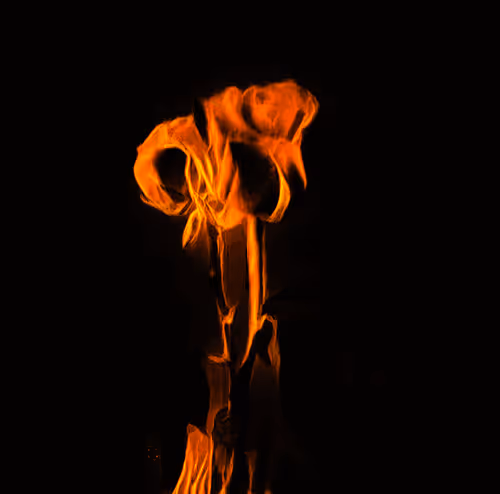 Item #46935663379106642088571545476757153786473481129897181517748081464638938546177 Media