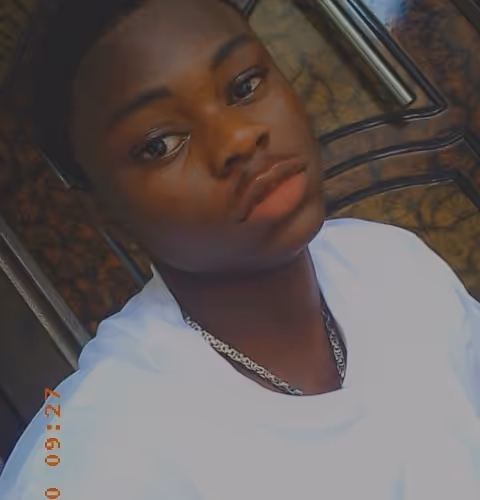 Untitled Collection #1325081841