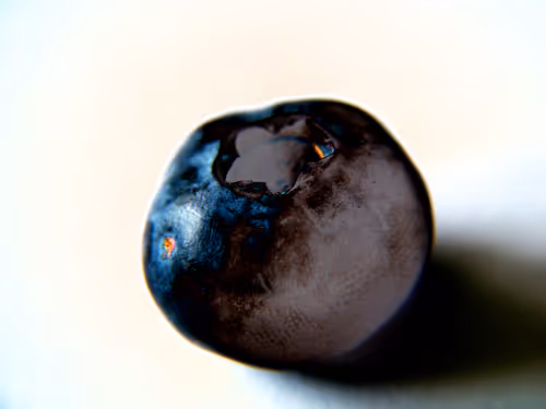 Item #58921648873001727541291667899035918231730626579624698148137299693564357246977 Media