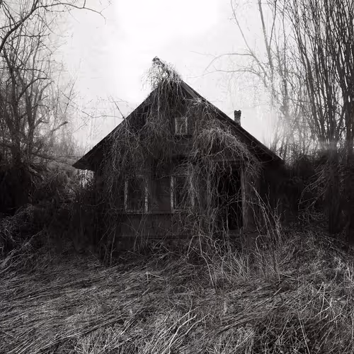 Item #53224625623064457234899396193453356484929368414059306237118540732853508898826 Media