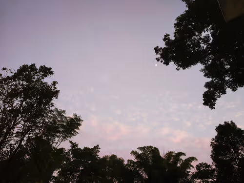 Item #19639212866637923491266492743518133241899401162345393254248405553951818121217 Media