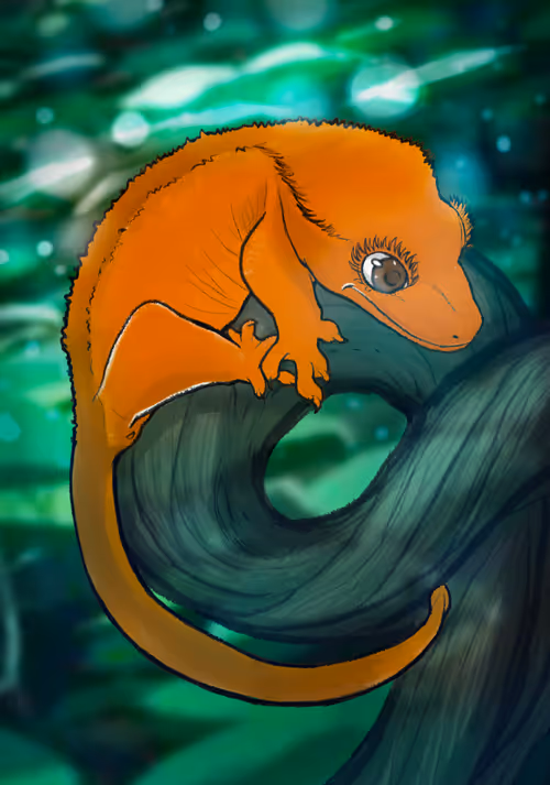 Item #23546686719633506406095790157609111049750244779414073605876924912089996197889 Media