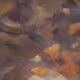 62111647540416549304510028024884046222710619019075480637534655089643238719489