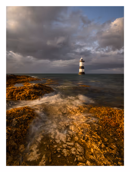 Item #96661707284894299444635219906598425654694917167299737376541026870376490074122 Media